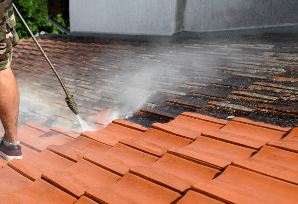 Best Deck Cleaning Services  in Village Green, NY